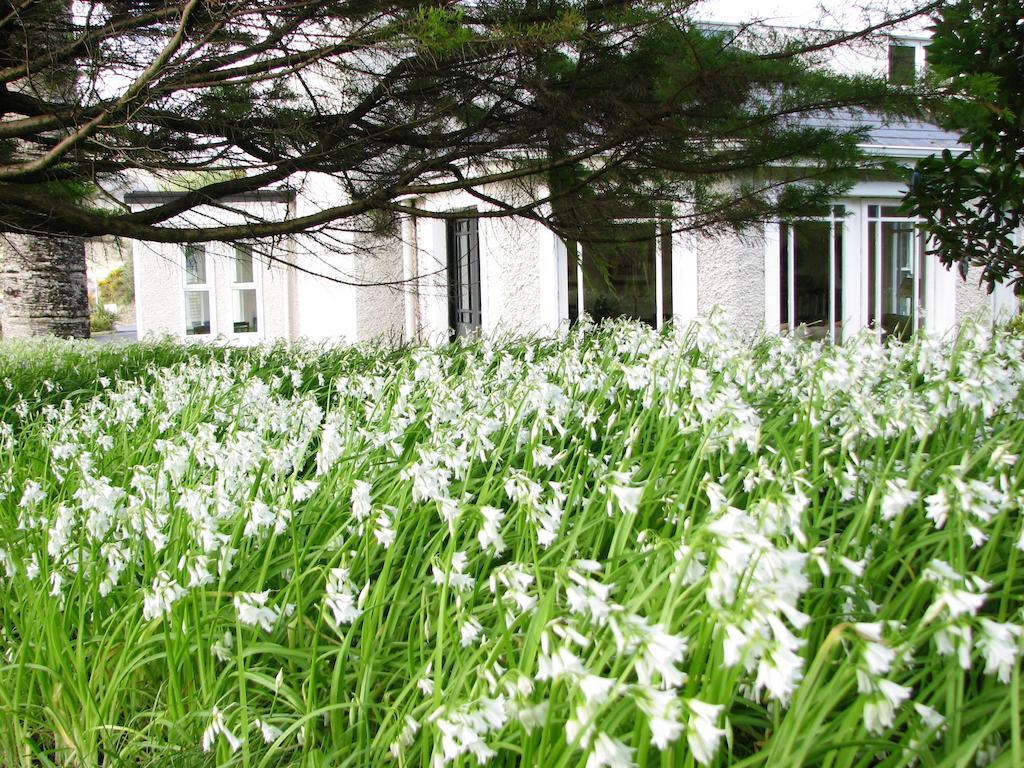 Bed and Breakfast The Convent Линон Экстерьер фото